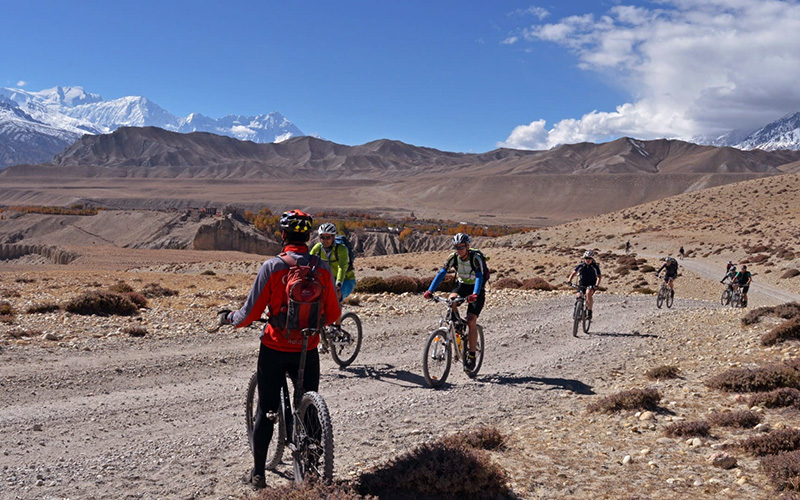 Mountain Biking